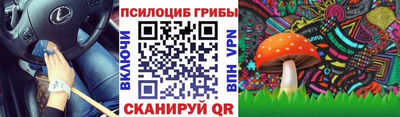 закладка  Нолинск  Псилоцибиновые грибы GOLDEN TEACHER 